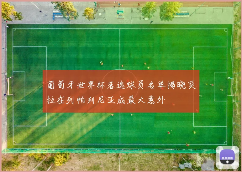 葡萄牙世界杯落选球员名单揭晓莫拉在列帕利尼亚成最大意外